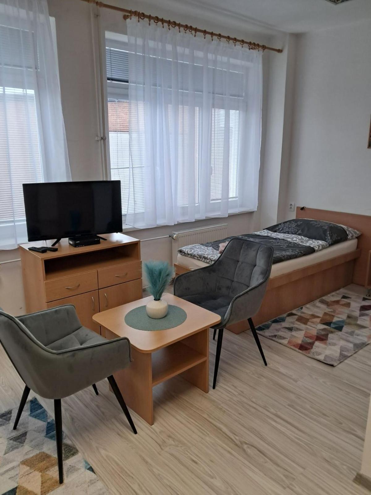 Sd Urbankova 2 Hostel โกชิเซ ภายนอก รูปภาพ